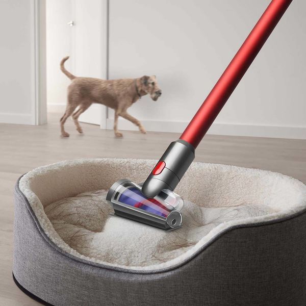 Пылесос Dyson Outsize Plus (394430-01)